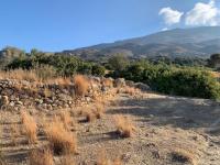 Grundstück kaufen Ag. Paraskevi bei Triopetra klein nx7j15mm2a7g