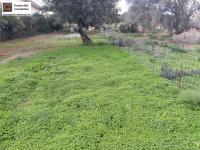 Grundstück kaufen Agia Galini klein 05my2y3suzo7