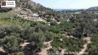 Grundstück kaufen Agia Galini klein 25w9r3pgeylq
