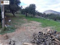 Grundstück kaufen Agia Galini klein 7kinh4urmeh1