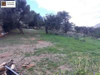 Grundstück kaufen Agia Galini klein 7ltrdvw89cjo