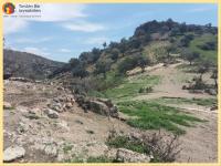 Grundstück kaufen Agia Galini klein 7lv5gh0bkft3