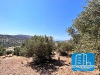 Grundstück kaufen Agia Galini klein 7vwr6z7hs38l