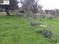 Grundstück kaufen Agia Galini klein lmcema9xo0ee