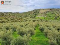 Grundstück kaufen Agia Galini klein ls4lnnfkx69d