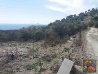 Grundstück kaufen Agia Galini klein o2c6jjigm39c