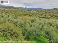 Grundstück kaufen Agia Galini klein s19yeqbqq29t