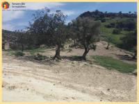 Grundstück kaufen Agia Galini klein vmcc9o36q4le