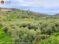 Grundstück kaufen Agia Galini klein whpmgl0j5ars