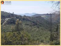 Grundstück kaufen Agia Galini klein ye1hljiw0jir