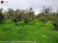 Grundstück kaufen Agia Galini klein ylcpdtr3lpuo