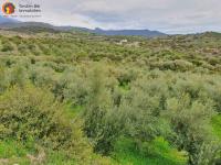 Grundstück kaufen Agia Galini klein ymujj3enlq9e