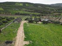 Grundstück kaufen Agies Paraskies klein evdvglrzc56p