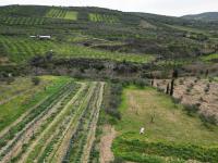 Grundstück kaufen Agies Paraskies klein o41roiqi9ilb