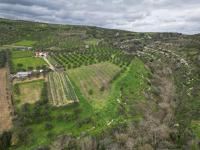 Grundstück kaufen Agies Paraskies klein s3kpvc9vabtq