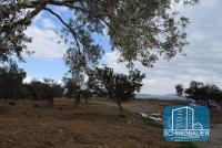 Grundstück kaufen Agios Georgios klein 4jarnr6smt2p