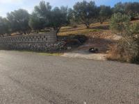 Grundstück kaufen Agios Nikolaos klein ixanvwk9hsb9