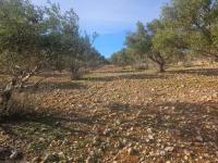 Grundstück kaufen Agios Nikolaos klein v12p5m4ey20n