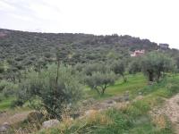 Grundstück kaufen Agios Nikolaos, Lasithi, Kreta klein 3d0hjdq4zdfe