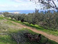Grundstück kaufen Agios Nikolaos, Lasithi, Kreta klein g0qovyqw7f42