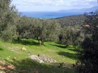 Grundstück kaufen Agios Nikolaos, Lasithi, Kreta klein il4qyb8ykeso
