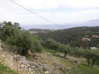 Grundstück kaufen Agios Nikolaos, Lasithi, Kreta klein uitkm5p42pl9