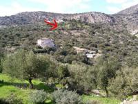 Grundstück kaufen Agios Nikolaos, Lasithi, Kreta klein uwmo15msn3eu