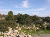 Grundstück kaufen Agios Nikolaos, Lasithi, Kreta klein xn15maie078a