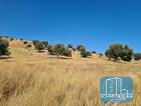 Grundstück kaufen Agios Pavlos klein 8xm0fv8dfw57