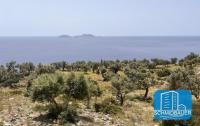 Grundstück kaufen Agios Pavlos klein wmetap5h3vqg