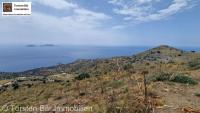Grundstück kaufen Agios Pavlos Kreta klein k802niegsc3j