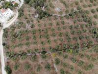 Grundstück kaufen Agios Vasilis klein dskulfa8c11u