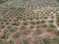 Grundstück kaufen Agios Vasilis klein ic793vegedqk