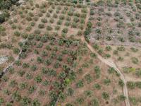 Grundstück kaufen Agios Vasilis klein uyjif4hrdlvo