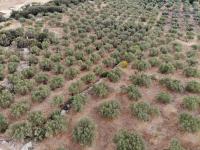 Grundstück kaufen Agios Vasilis klein wuvtp1cu7bra