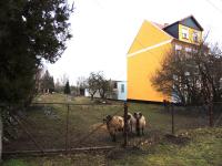 Grundstück kaufen Aken (Elbe) klein 2vlb4v5ls2gk