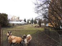 Grundstück kaufen Aken (Elbe) klein wjxa1rj5ky3i