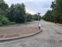 Grundstück kaufen Alcudia - Bonaire klein 2j8cr4zihnk0