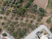 Grundstück kaufen Almyrida klein 15abtrdjxbgd