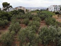 Grundstück kaufen Almyrida klein 75m7c3jeymrn