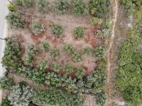 Grundstück kaufen Almyrida klein buknvlgspejg