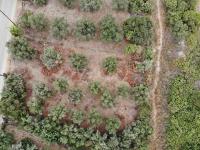 Grundstück kaufen Almyrida klein d4j6ftz0dkp6