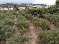 Grundstück kaufen Almyrida klein de8r35kxeitj