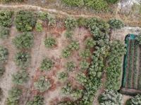 Grundstück kaufen Almyrida klein kxl7nyjr44vt