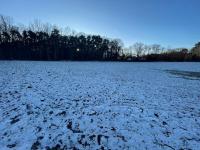 Grundstück kaufen Altlandsberg klein npfkrlhtqi87