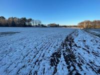 Grundstück kaufen Altlandsberg klein r1r88acsbexk