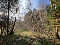 Grundstück kaufen Altusried klein 8b5srwwys30a