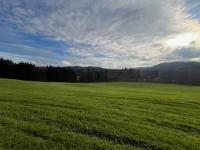 Grundstück kaufen Altusried klein jmpiju0s2r4f