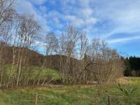 Grundstück kaufen Altusried klein l4uk10b4ddyt