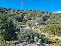 Grundstück kaufen Ammoudara bei Agios Nikolaos klein 7jvmkha90i8m